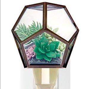 BBW succulents wallflower